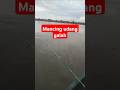 Mancing Udang galah DiDesa Terentang hilir
