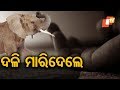 ହାତୀ ଆକ୍ରମଣରେ ଚାଷୀଙ୍କ ମୃତ୍ୟୁ! Rosalin Rath