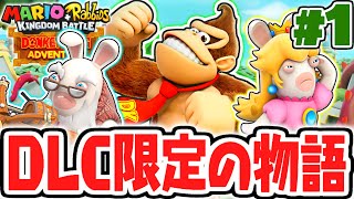 ドンキーコング トロピカルフリーゼ & マリオ + ラビッツ mqdefault.jpg