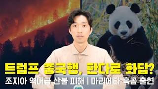 [애틀랜타 뉴스] 조지아 산불 재난|독개미 쇼크 주의|도심 흑곰|보험료·금리 인하|500불 환급|교육 1위|판다 복귀 | 모기지 하락 #애틀랜타이상무