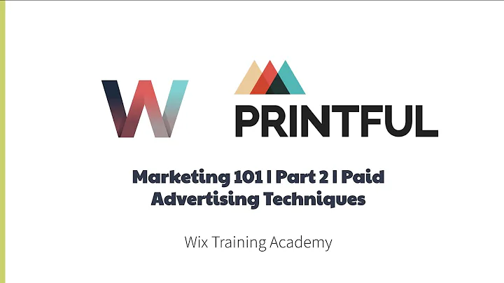 Wix and Printful | Paid Marketing Strategies For Your Print-On-Demand Store | Video Lesson #9