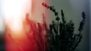 Hayden Calnin - We Can Take Our Time