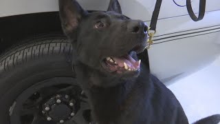 Ohio State Highway Patrol celebrates opening of new K9 training facility