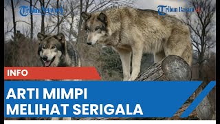 Arti Mimpi Melihat Serigala