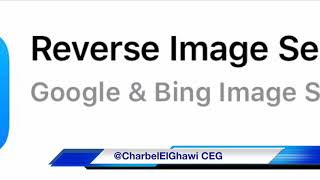 Reverse Image Search - Google - Bing screenshot 4
