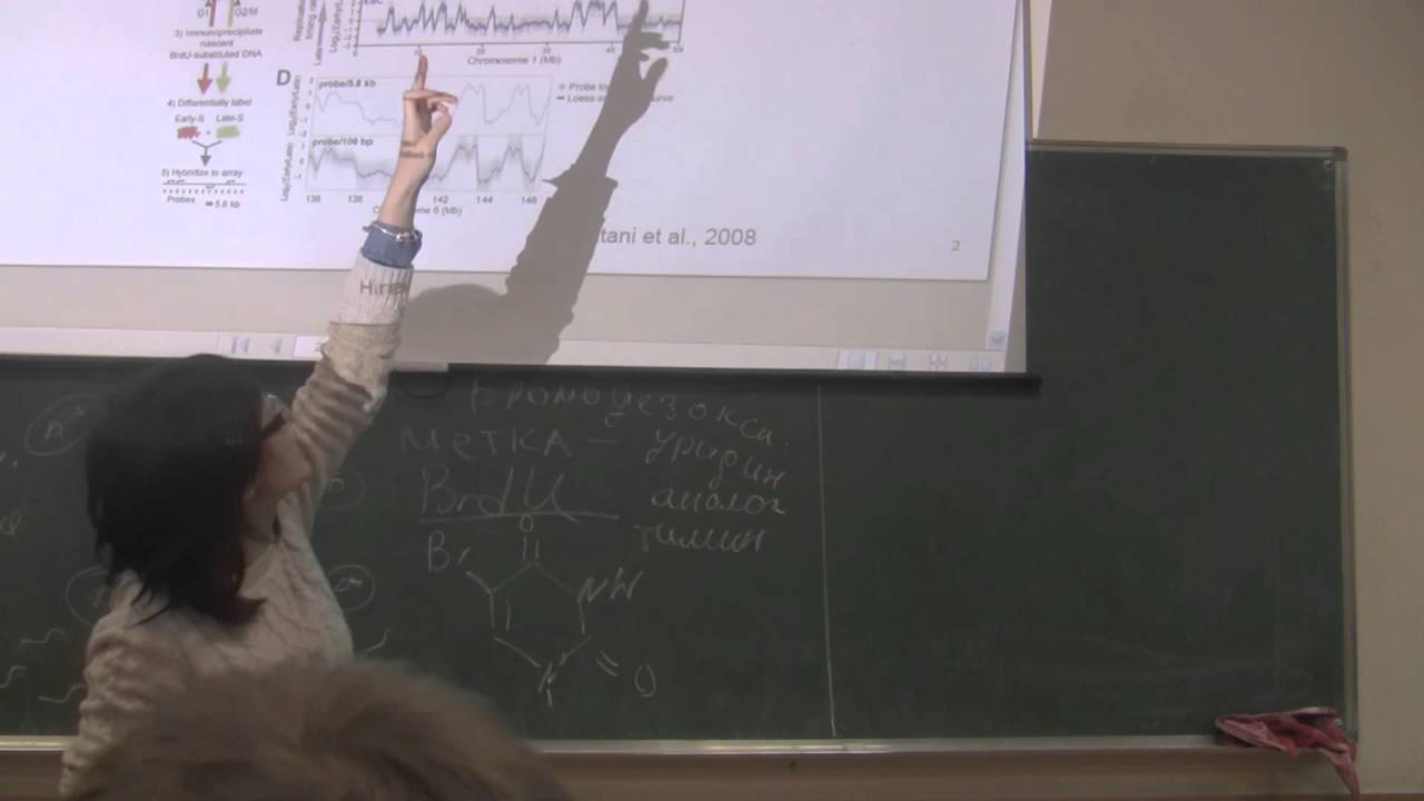 Молекулярная биология - Лекция 5 - 1из1