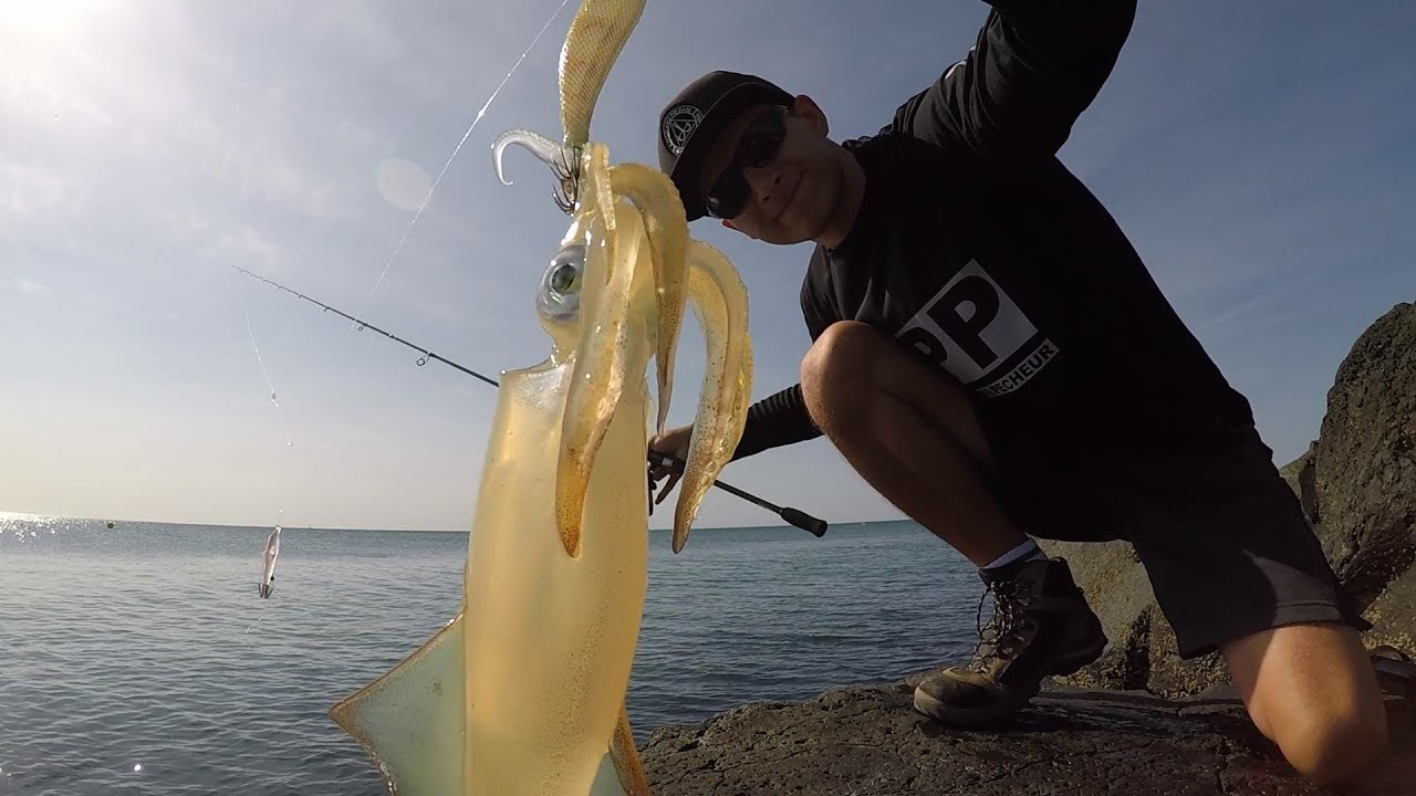 Peche calamars du bord . Astuces et materiel ! YouTube — free download
