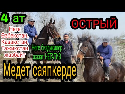 Video: Поливаленттүү медайымдын өзгөчөлүктөрү кандай?