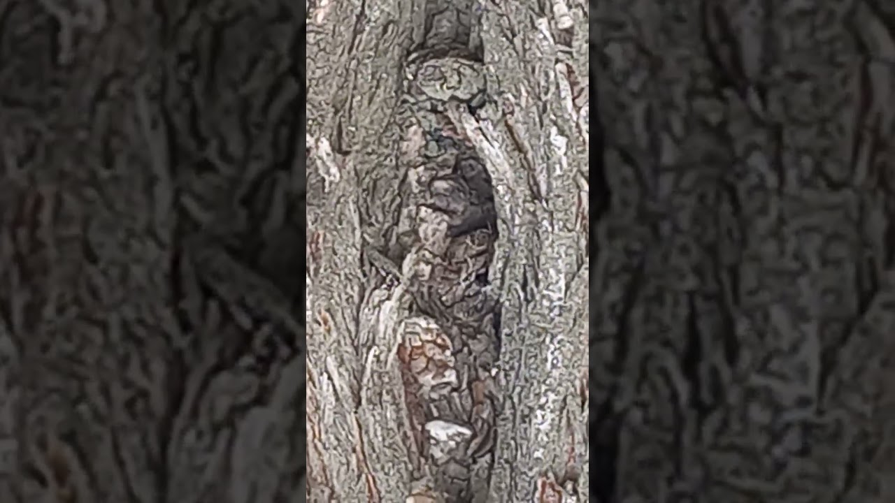 The first cave hostel for archanthropes, the first labor migrants.