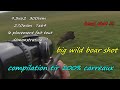 compilation tir 100 % carreaux : chasse sanglier : 300wm, 9,3x62 browning, sauer