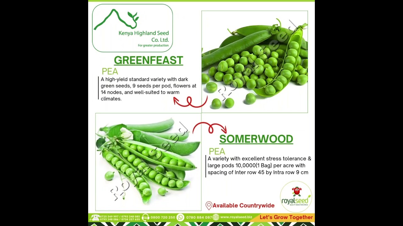 GREENFEAST & SOMERWOOD,Know Your Planting Time: When to Sow What! 