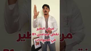 علامات نقص فيتامين ب1 | مرض الطير في الحيوانات #دكتور_محمد_الشاهد B1 vitamin deficiency in animals