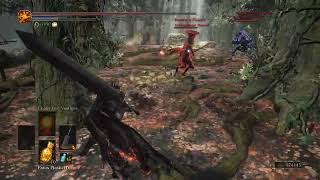 Dark Souls III Invader Accidentally Agros Red Phantom NPC