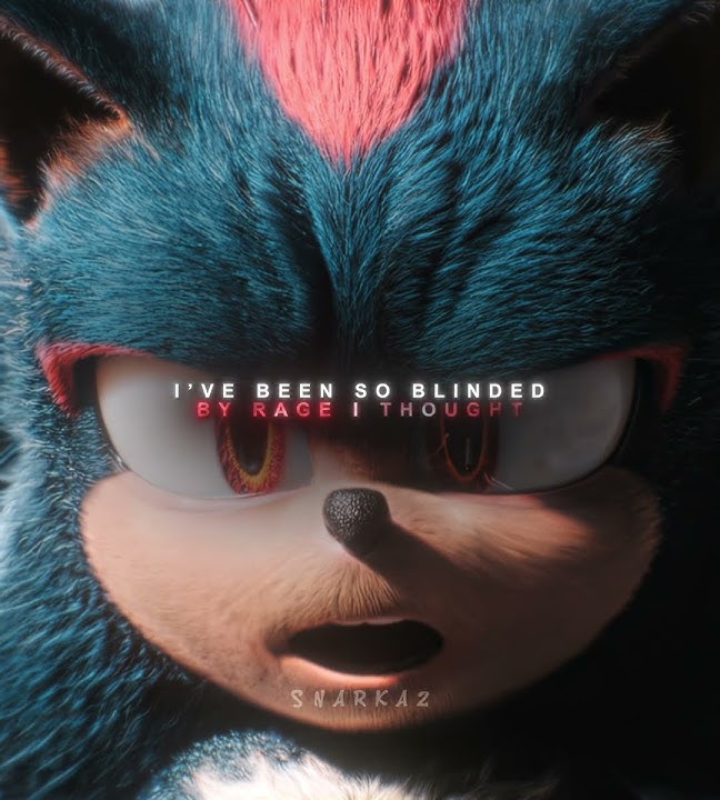 'YOU ALWAYS HAVE A CHOICE' - Shadow and Sonic Edit | Dandelions (Slowed)