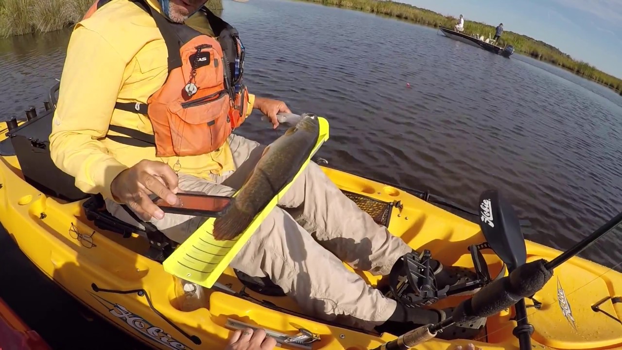 Kayak Bass Fishing 24Sep2017 YouTube