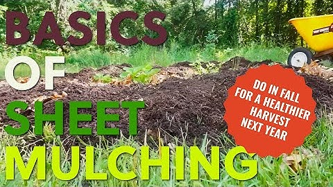 Learn How to Build Healthier Soil with Sheet Mulching