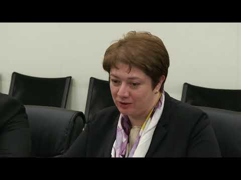 შეხვედრა ევროპის საბჭოს დელეგაციის წევრებთან