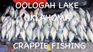 Oologah Lake Oklahoma Crappie Fishing August 2025