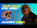 Sahelanthropus tchadensis - The First BIPEDAL Hominid 7mya?