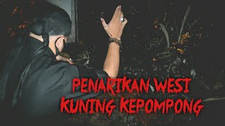 Download Lagu Gunung Keling || Penarikan wesi kuning kepompong MP3