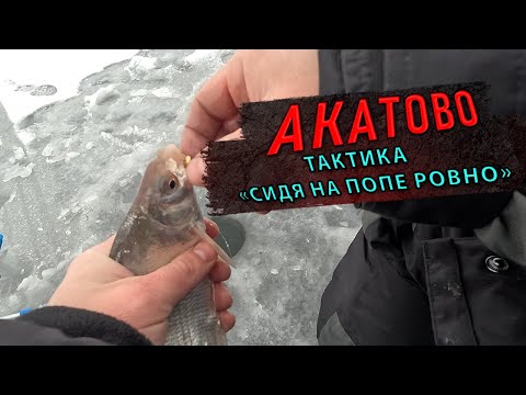 23 ЯНВАРЯ, АКАТОВО, тактика СИДЯ НА ПОПЕ РОВНО @fishfilos #философиярыболова