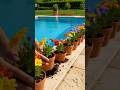🛠️ Satisfying Old Pool Restoration! 💦 #shorts #diy #pool #ai
