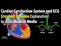 Cardiac Conduction System and Understanding ECG/EKG - Updated 2024, Animation