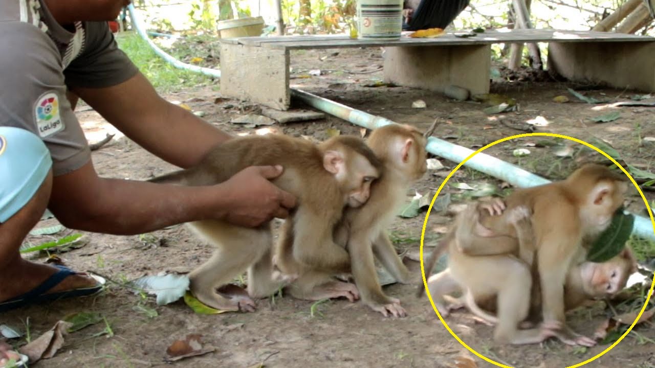 Unbelievable Lyly Jealous Boki Playing With Dad| Lyly Hug Carry Boki ...