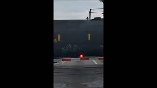 The Long Ecorse Road Train