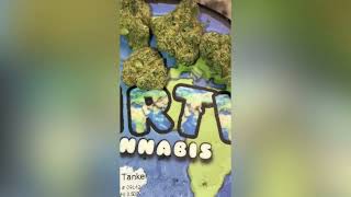 Oil Tanker Strain Review (Smk Brk 420)