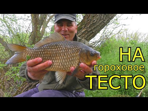 Видео: Крупные караси на гороховое тесто  Рыбалка на поплавок. My fishing