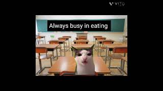 Cat meme #funny #viral