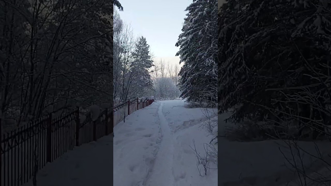 ПОНЕДЕЛЬНИК. | ⟨26.01.2026⟩ | 