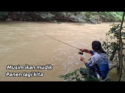 Pemancing pasti betah kalau nemu spot seperti ini