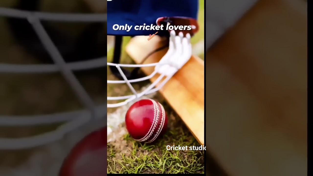 only cricket lover's 🥰🥰🥰🏏🏏