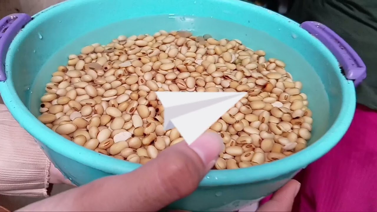 Tugas Biologi || (Fermentasi Tempe) Kelompok 8