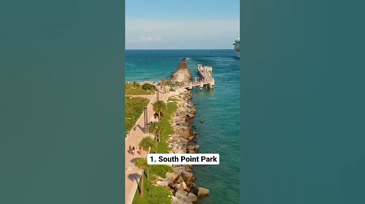 5 Things to do in Miami | #shorts