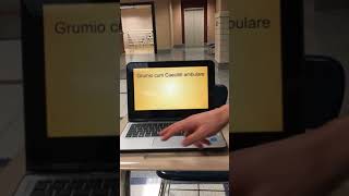 High effort Latin b4 preposition grammar lesson