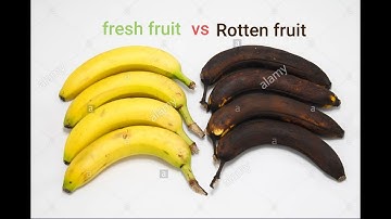 classification of rotten fruits vs fresh fruits using ml