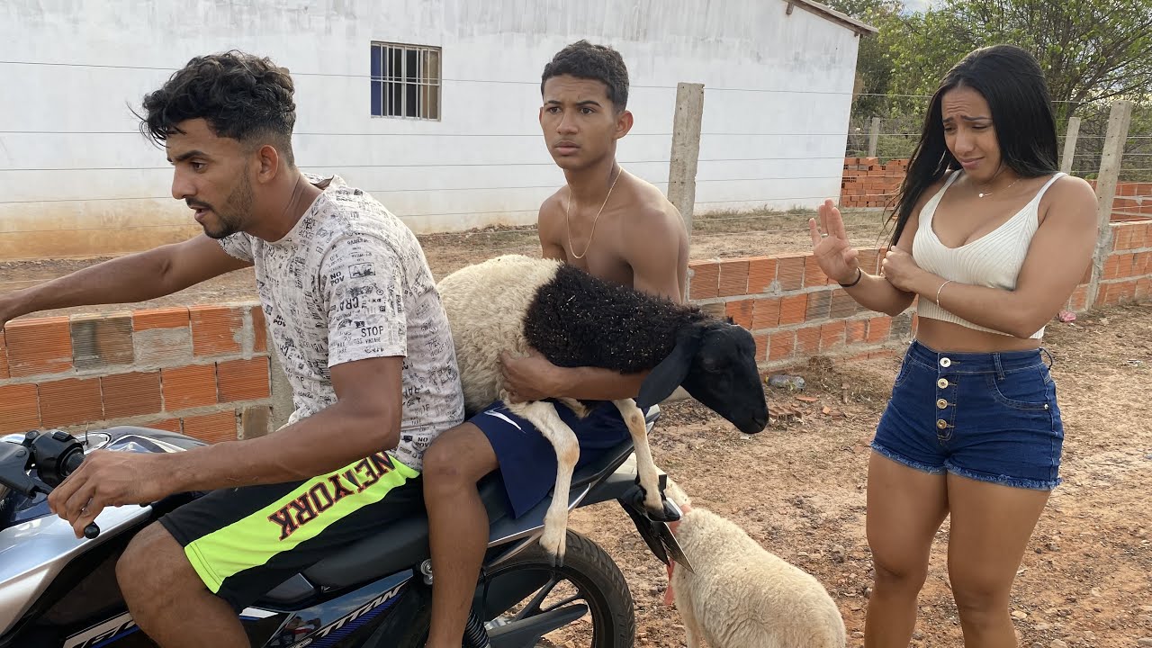 VENDl OS CARNEIROS DELA PRO BRUTINHO FAZER CHURRASCO