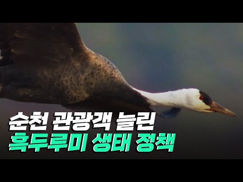 [핫클립] 흑두루미를 위한 생태 정책으로 경제를 <strong>견인하다</strong> / YTN 사이언스