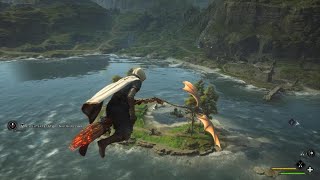 Catch The Dragon Flying Randomly In Hogwarts Legacy