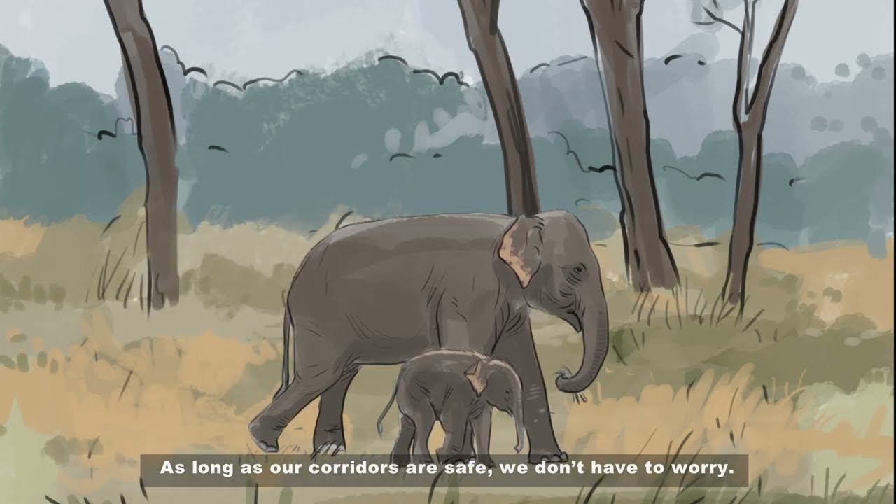 Towards Harmonious Coexistence with Elephants