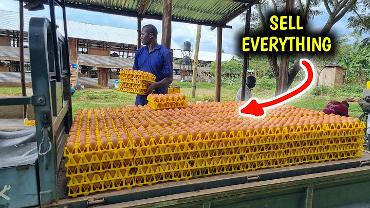 How I Easily Sell EVERYTHING I Produce on my Local Market