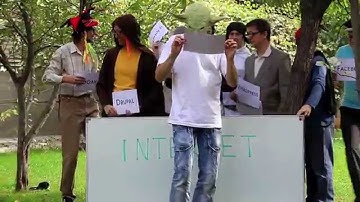 BoonEx: compare Dolphin 7 and other social networking platforms