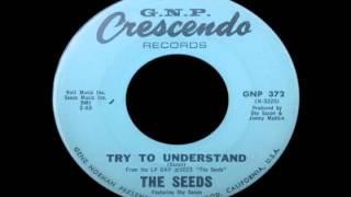 Video thumbnail of "The Seeds - Pushin' Too Hard  b/w  Try To Understand"