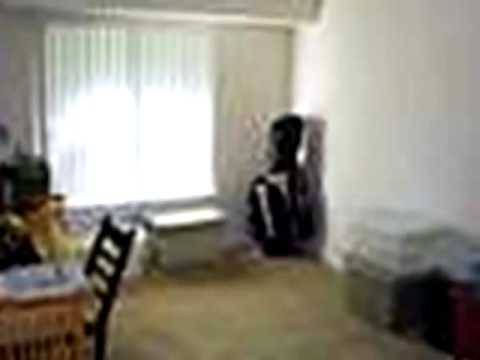45550 Hidden View Ct, Utica, MI home video tour