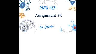 Celebrity PSYC 4371 Assignment #4 Wealth