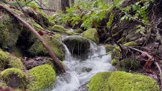 4K High Mountain white noise | Mossy creek nature sounds for study , focus , asmr