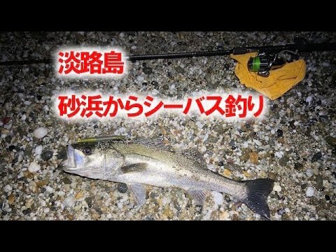 淡路島の釣り　シーバスが釣れた　（夜のサーフ・早春）